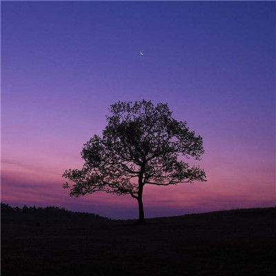 吸血鬼幸存者-版本资讯