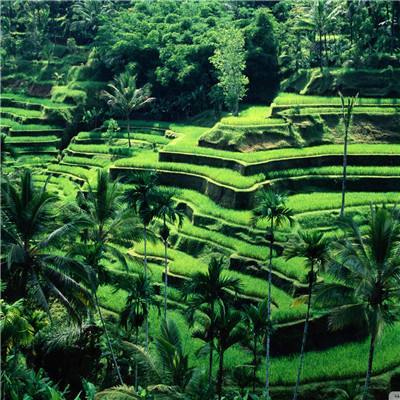 宿州房产信息网